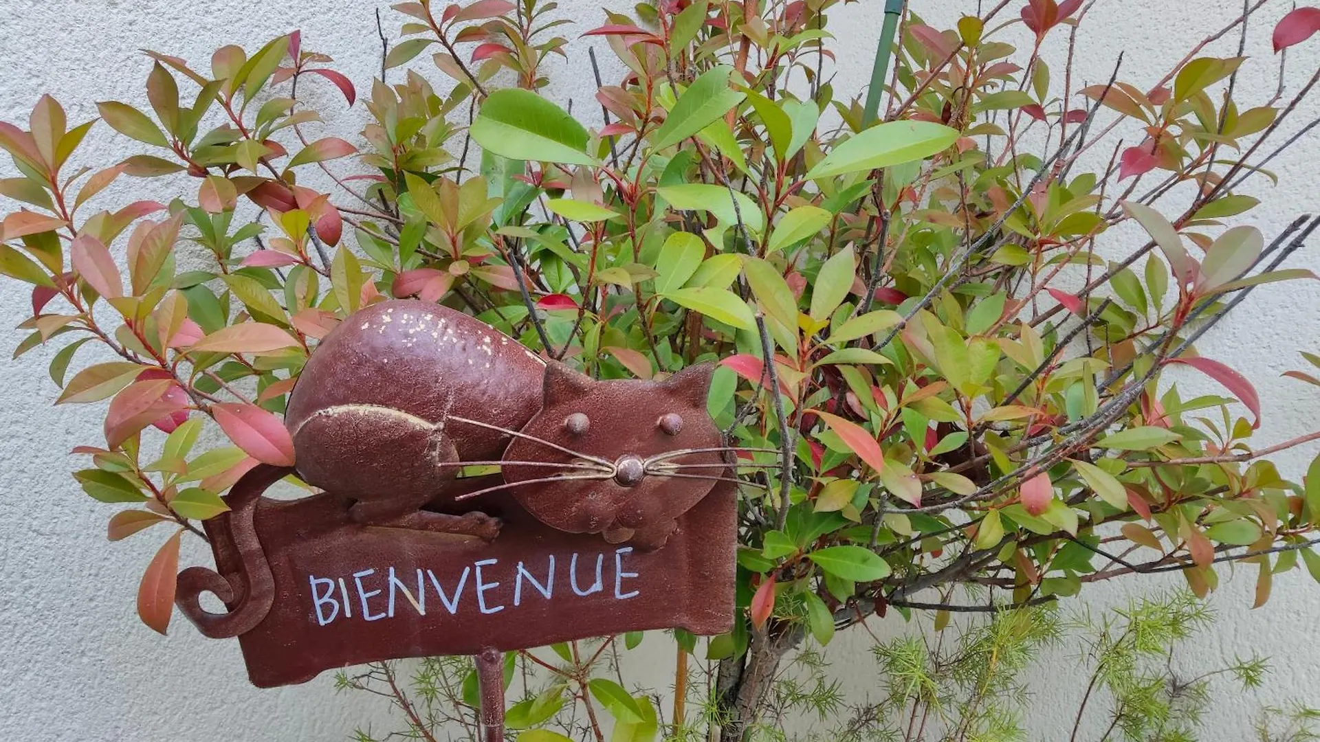 Du Cote De Chez Paule, Chambre Avec Entree Independante Et Salle D'Eau Privative Semeac 0*,